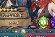 【FEH】比翼サナキってなんかすぐ型落ちしそうだよな