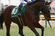 【競馬】　ジャパンカップで養分が買いそうな馬・第一位！