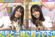 【日向坂46】この子はどこで買えますか？？？