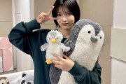 【乃木坂46】ペンギン2世誕生か…!?