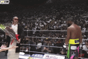 【悲報】ごぼうの党さん、メイウェザーに花束を投げ付けて世界中で炎上wawawawawawawawawaw