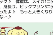 【悲報】ポムポムプリン（5m）「君が僕を馬鹿にしたプリね？」なんj「ひえっ」