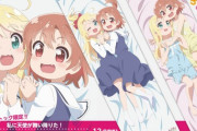 【画像】わたてん・ひなた&乃愛の抱き枕が天使過ぎるｗｗｗｗｗｗ