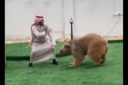 【動画】アラブの男性、熊に襲われてしまう・・・