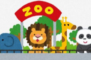 ワイ「動物園経営したい」なんJ民「無理無理w」ワイ「それでは事業計画書をご覧ください」