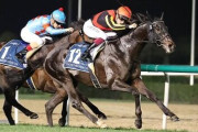 シャフリヤール 相棒Cデムーロで有馬記念へ