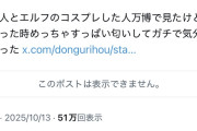 X民「万博でエルフのコスプレした人とその取り巻きに遭遇したけど酸っぱい匂いがした」→あの人が反応して炎上