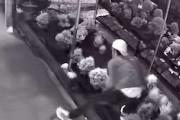 【動画】今度は静岡県で盆栽どろぼう。同一人物の犯行か？