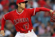 大谷翔平(年俸3億)「よーし遊ぶぞー！」←してそうな遊び