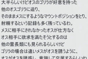 マリオ「おっ、ピーチから手紙やんけ！読んだろ！」
