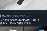 【悲報】ラブライブ「中須かすみのサンゴの首飾り1600円」ひっくり返すと中身がスカスカ…
