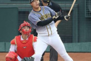 大山とかいう阪神では鳥谷以来の本物の野手wwwwww