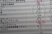 【悲報画像】ワイの採血結果