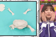 【gifあり】与田ちゃんの“手の形とカエル”＝“あの日の地獄”、完全一致wwwwww【乃木坂46】