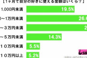 1ヶ月に自分の好きに使える金額は？「月1000円未満」生活の実態とは…
