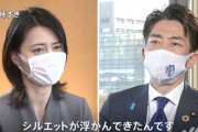 進次郎「海洋ごみ問題？ビニール袋有料にしたろ！」女子高生「魚が食べないビニール袋作ろ」