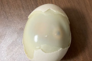 【呪われてる】ゆで卵作ったんだけど有精卵でワロタｗ喰べられない