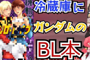 【悲報】腐女子「同人誌朗読したVtuberは木村花みたいに自害して欲しい」