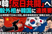 【速報】中国外相「日本の一部政治勢力が侵略の罪を覆そうとしている」おまえら一部だったんだ