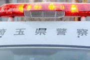 【埼玉】２０代女性に声かけ突然抱き付く…ナイジェリア国籍の会社員男を逮捕「女の人に抱き付いたことはありません」と容疑を否認