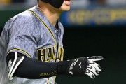 阪神・佐藤輝明　計算上では桑田武、清原和博の新人最多本塁打記録を塗り替えられる