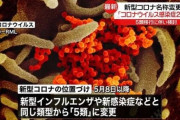 新型コロナ、名前をダサくされてしまうw