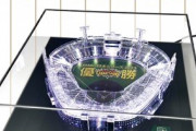 【画像】自分だけの『甲子園球場』が手に入れられる件ｗｗｗ