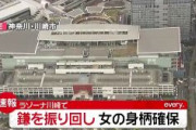 【神奈川】ラゾーナ川崎　“鎌”を振り回す女の身柄確保　20代の女性1人ケガ