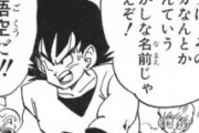 【疑問】「悟空/カカロット」みたいに名前が二つ以上あるキャラって他にもいるの？？？