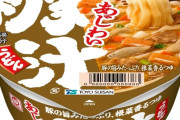 マルちゃんの豚汁うどんってうまいよね？