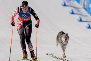 【ミラノ五輪】クロスカントリーで犬乱入「狼かと…怖かった」追いかけられた選手が苦言　運営に「決勝で起きたら危険」