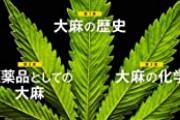 【超画像】大麻、覚せい剤の需要を激減させてしまうｗｗｗｗｗｗｗｗｗｗｗｗｗｗｗｗｗｗｗｗｗ