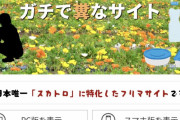 【便ブリッジ】とんでもないフリマサイト、見つかってしまう