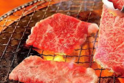 【有能】ワイ焼肉大臣、肉の種類を「カルビ」「ハラミ」「タン」の３種類に限定してしまう！！！