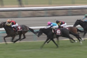 【競馬】【悲報】宝塚記念出走馬の父