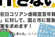 水原希子さん「在日コリアンに対してのヘイトが一刻も早くなくなりますように」