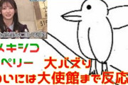 【竹内希来里】未知の鳥類「メキシコペリー」が世界へ飛び立つ。【日向坂４６】