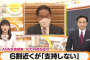 18歳以下への10万円相当給付｢支持する｣31％ｗｗｗｗｗｗｗｗｗ