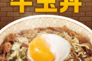 【画像あり】レアハンバーグ丼・ユッケ丼、大ブーム到来してしまうｗｗｗｗｗｗｗｗｗｗｗ
