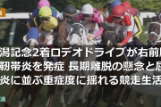 新潟記念2着ロデオドライブが右前脚繋靭帯炎を発症 長期離脱の懸念と屈腱炎に並ぶ重症度に揺れる競走生活