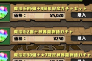 【パズドラ】もう課金しない(周年パック2個購入済)とか結構いそうｗｗｗｗｗｗ