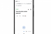 Googleアシスタントに通訳モード(リアルタイム翻訳)追加｡翻訳専用機は死にそう