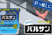 【画像】俺の新居、ゴキブリ大量発生で終わる…