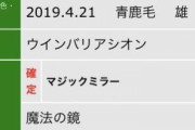 【悲報】デラベッピンの弟の馬名が『マジックミラー号』に決定ｗｗｗｗｗ