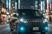 黒いアルファード（字光式ナンバー・青フォグランプ・車高短）←この車に何か要素1つ足して安全運転にしろ！