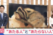 【警告】医師「牡蠣に“あたる人”と“あたらない人”の違いがこれ」