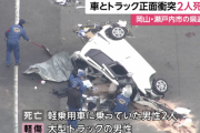 【悲報】トラックと正面衝突した軽自動車、すりおろした大根みたいになる
