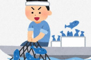 漁師系のYouTuberが自分でとった魚食ったりしてるけどダメじゃね？
