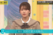 奥田いろはが犬アレルギーを克服。「減感作療法」か？【乃木坂工事中】【乃木坂46】