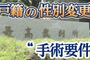 LGBTの当事者が主張する性別適合手術なしでの戸籍上の変更の必要性とは？